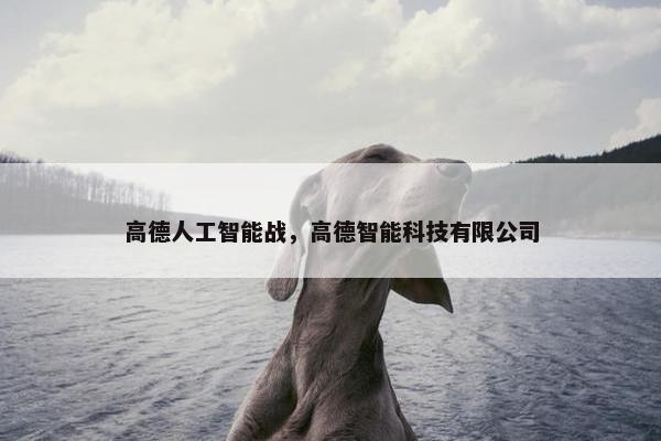 高德人工智能战，高德智能科技有限公司
