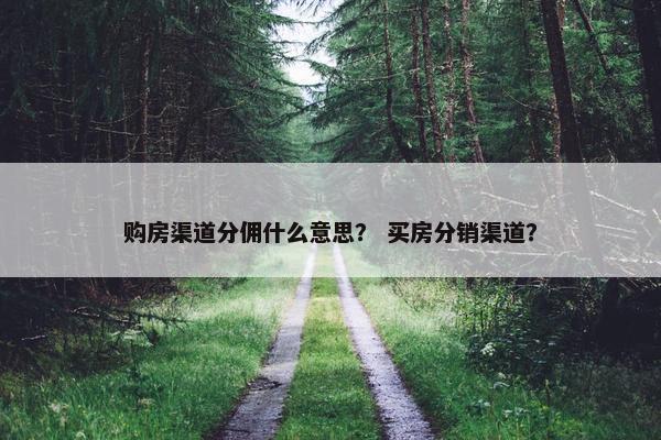 购房渠道分佣什么意思？ 买房分销渠道？