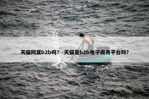 天猫网属b2b吗？ 天猫是b2b电子商务平台吗？