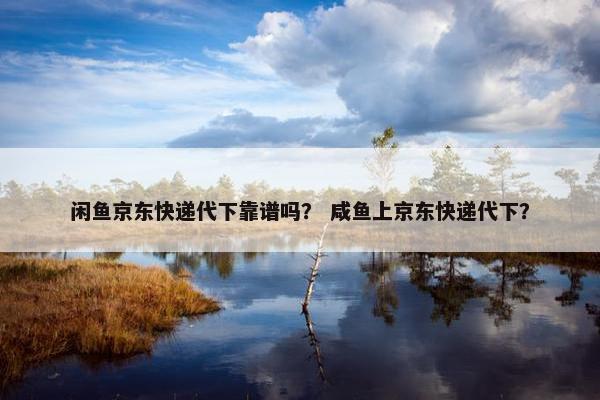 闲鱼京东快递代下靠谱吗？ 咸鱼上京东快递代下？