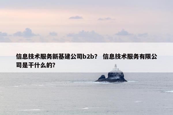 信息技术服务新基建公司b2b？ 信息技术服务有限公司是干什么的？