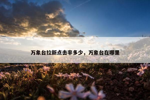 万象台拉新点击率多少，万象台在哪里