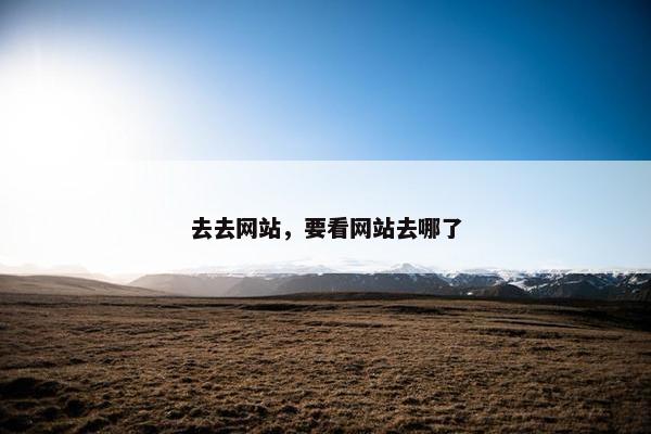 去去网站，要看网站去哪了