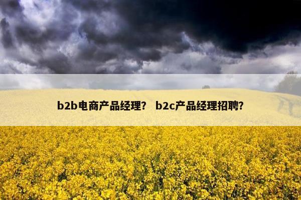b2b电商产品经理？ b2c产品经理招聘？