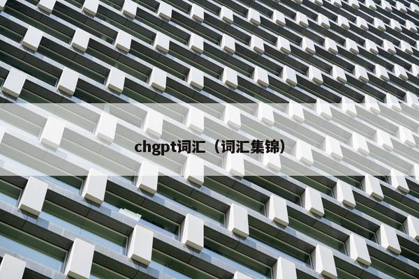 chgpt词汇（词汇集锦）