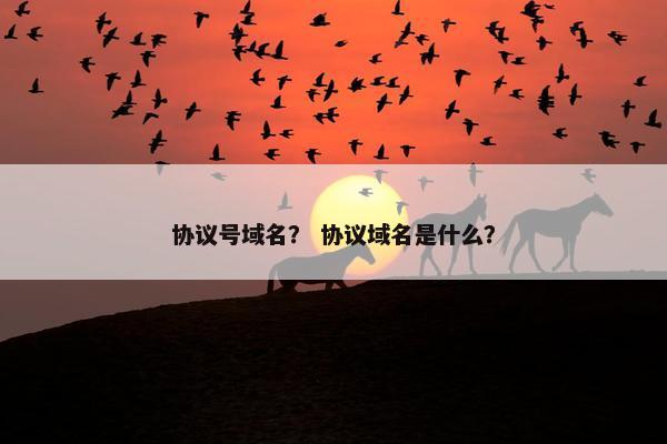 协议号域名？ 协议域名是什么？