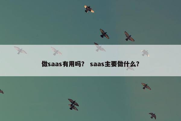 做saas有用吗？ saas主要做什么？