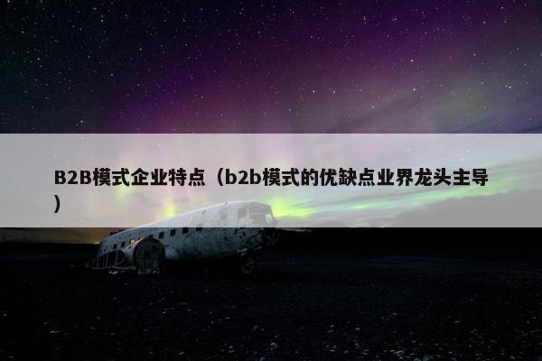 B2B模式企业特点（b2b模式的优缺点业界龙头主导）