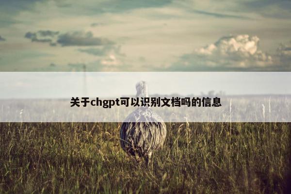 关于chgpt可以识别文档吗的信息