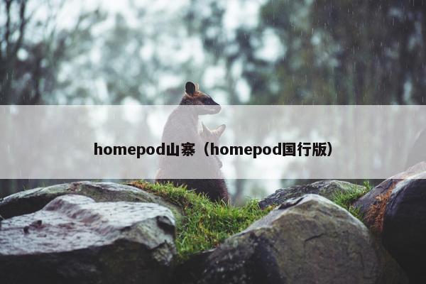 homepod山寨（homepod国行版）