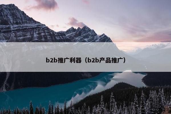 b2b推广利器（b2b产品推广）