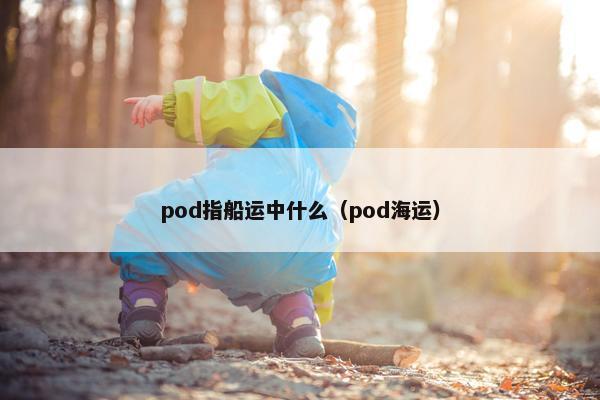 pod指船运中什么（pod海运）