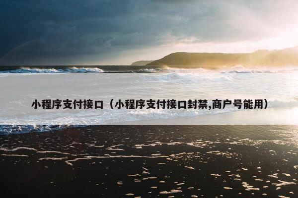 小程序支付接口（小程序支付接口封禁,商户号能用）