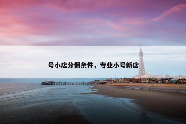 号小店分佣条件，专业小号新店