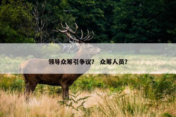领导众筹引争议？ 众筹人员？