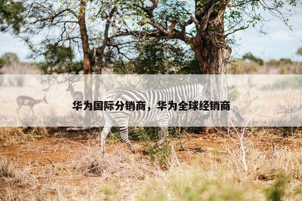 华为国际分销商，华为全球经销商
