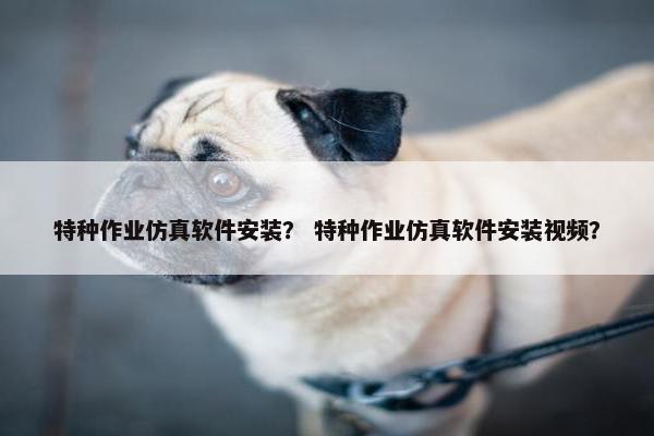 特种作业仿真软件安装？ 特种作业仿真软件安装视频？