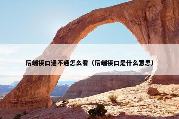 后端接口通不通怎么看（后端接口是什么意思）