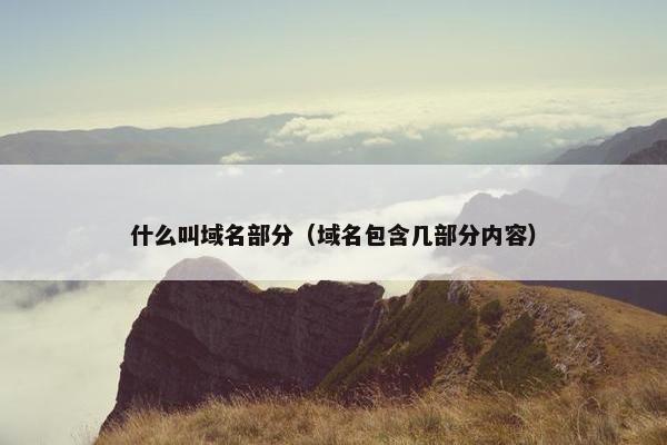 什么叫域名部分（域名包含几部分内容）