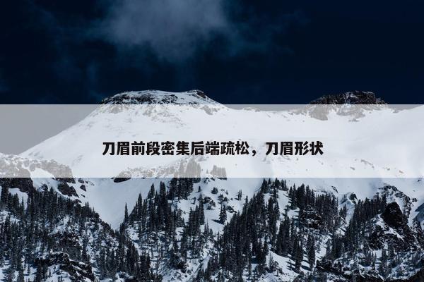 刀眉前段密集后端疏松，刀眉形状