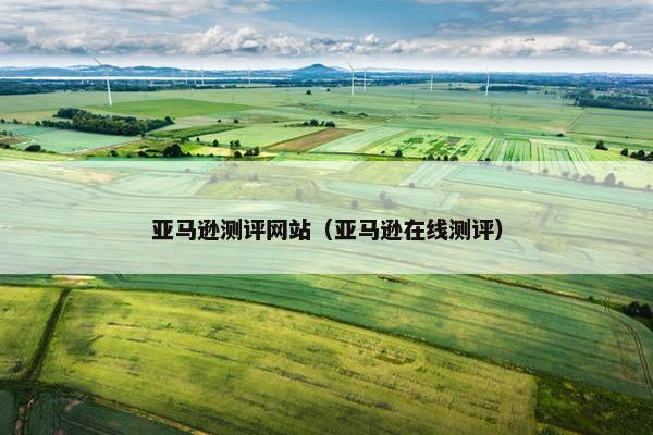 亚马逊测评网站（亚马逊在线测评）