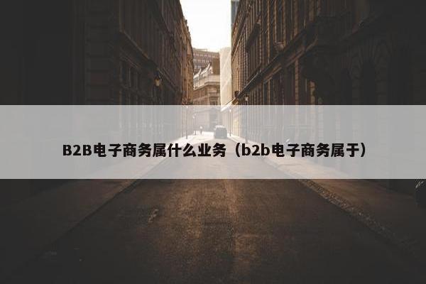 B2B电子商务属什么业务（b2b电子商务属于）