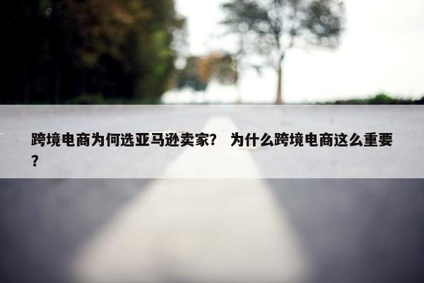 跨境电商为何选亚马逊卖家？ 为什么跨境电商这么重要？