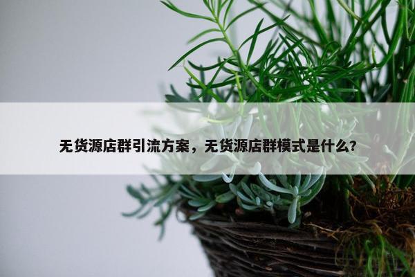 无货源店群引流方案，无货源店群模式是什么?