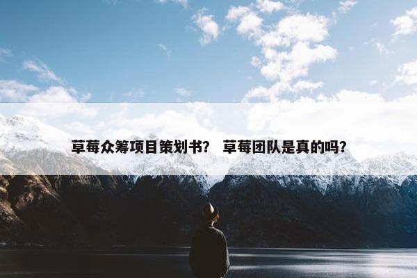 草莓众筹项目策划书？ 草莓团队是真的吗？