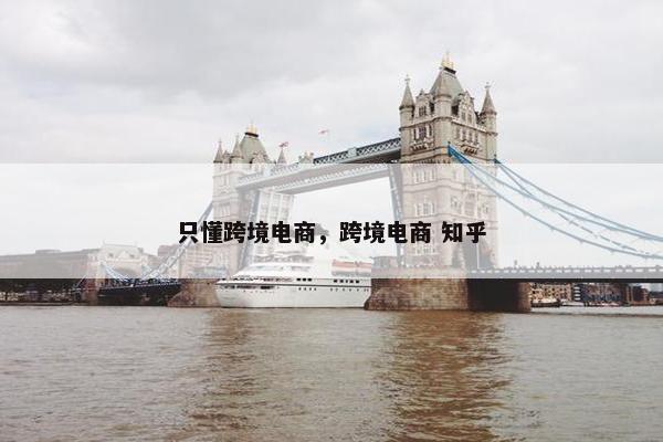 只懂跨境电商，跨境电商 知乎
