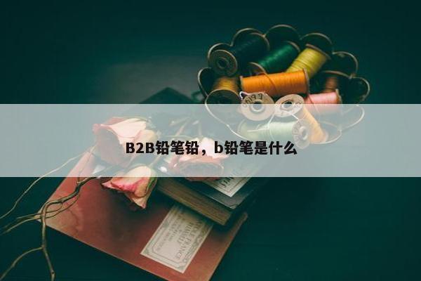 B2B铅笔铅，b铅笔是什么