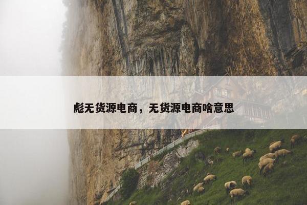 彪无货源电商，无货源电商啥意思