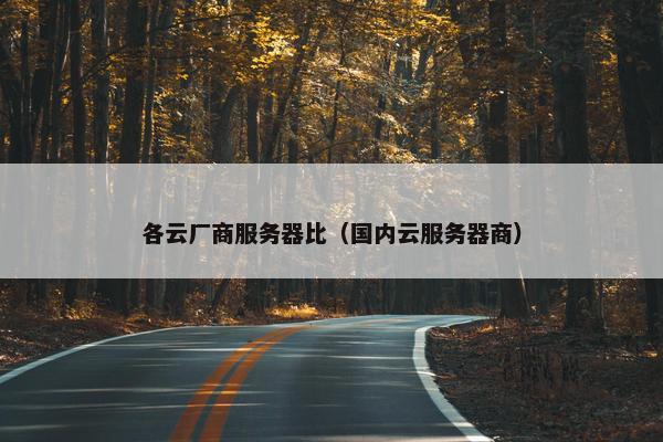 各云厂商服务器比（国内云服务器商）