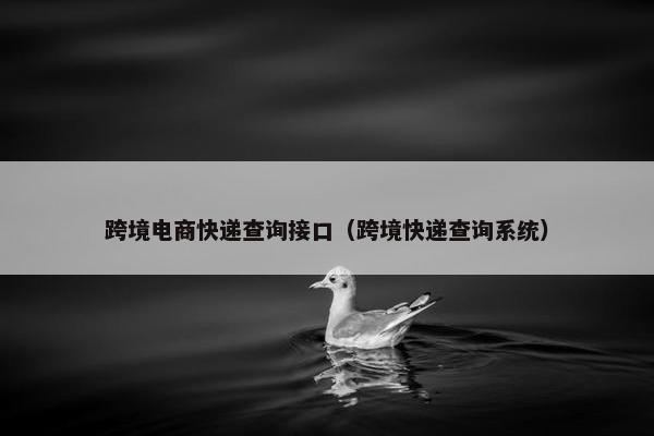 跨境电商快递查询接口（跨境快递查询系统）