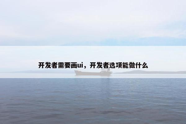 开发者需要画ui，开发者选项能做什么