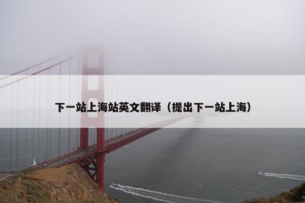 下一站上海站英文翻译（提出下一站上海）