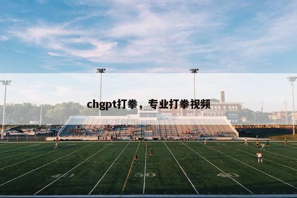 chgpt打拳，专业打拳视频