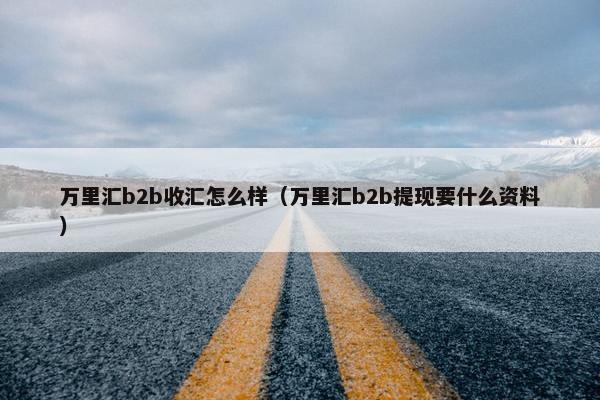 万里汇b2b收汇怎么样（万里汇b2b提现要什么资料）
