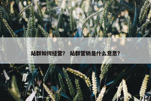 站群如何经营？ 站群营销是什么意思？