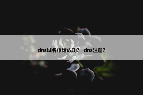 dns域名申请成功？ dns注册？
