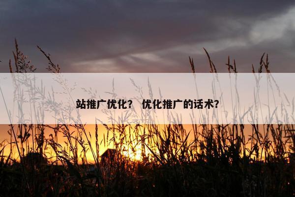 站推广优化？ 优化推广的话术？