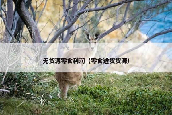 无货源零食利润（零食进货货源）