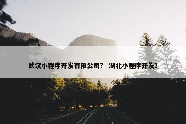 武汉小程序开发有限公司？ 湖北小程序开发？