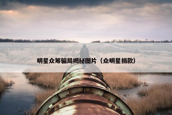 明星众筹骗局揭秘图片（众明星捐款）