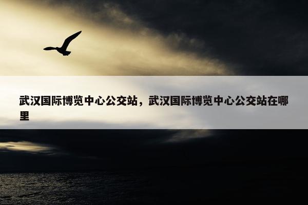 武汉国际博览中心公交站，武汉国际博览中心公交站在哪里