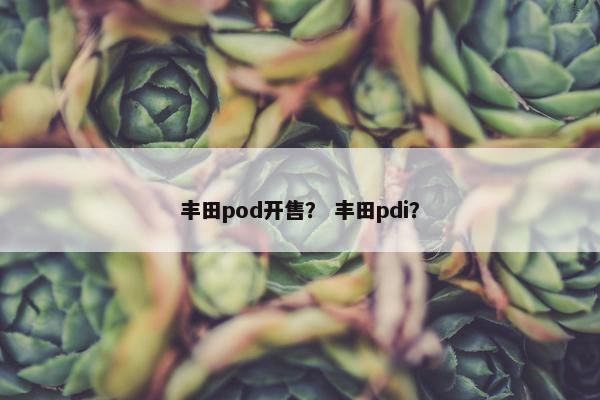 丰田pod开售？ 丰田pdi？