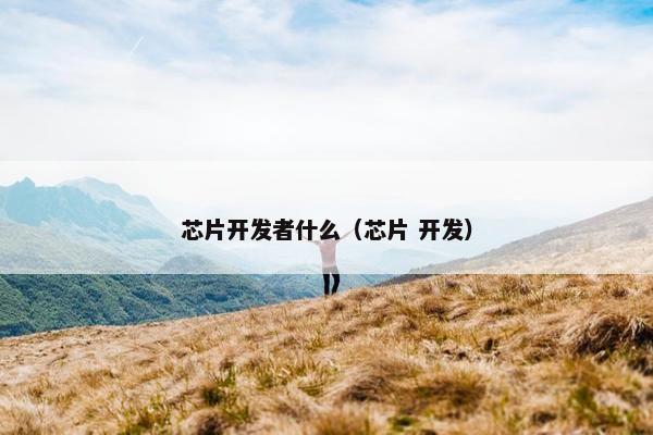 芯片开发者什么（芯片 开发）