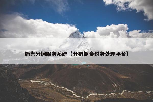 销售分佣服务系统（分销佣金税务处理平台）