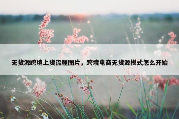 无货源跨境上货流程图片，跨境电商无货源模式怎么开始