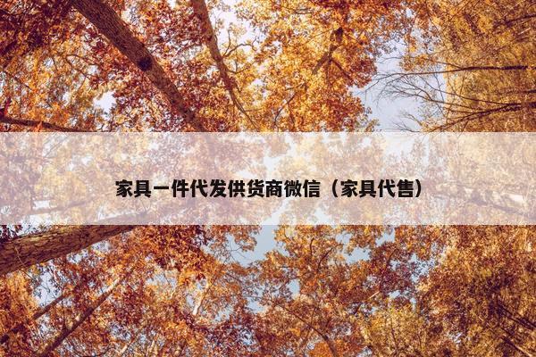 家具一件代发供货商微信（家具代售）